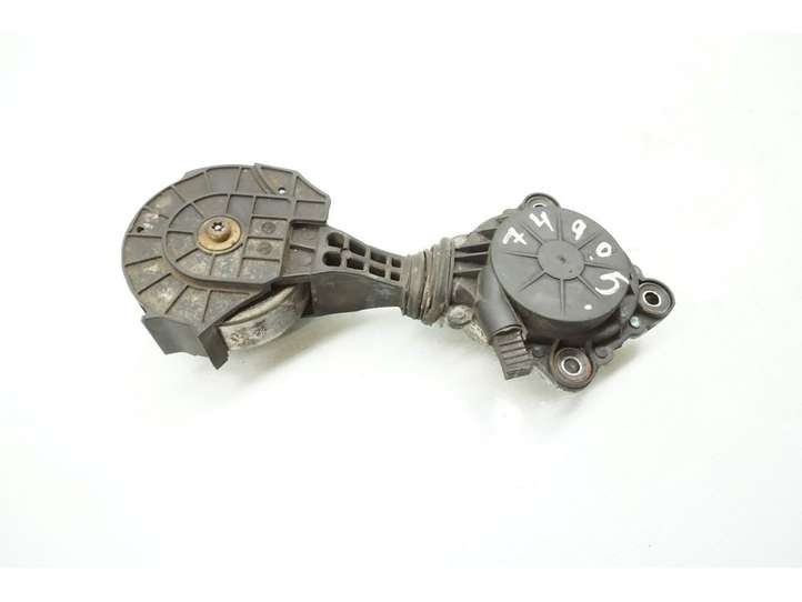 Peugeot 207 (2006 - 2009)  V75488488007 Натяжитель ремня генератора