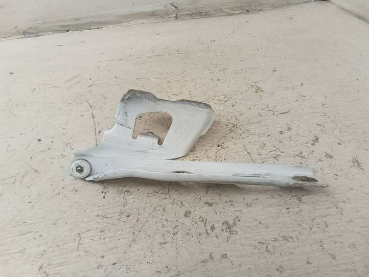 Audi A5 (2007 - 2011)  8T0823302E Петля (петли) капота