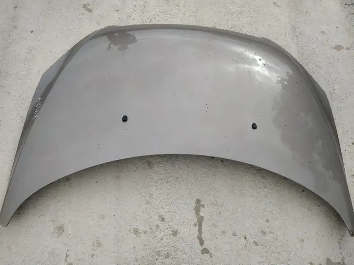 Peugeot 307 (2001 - 2005)   Капот