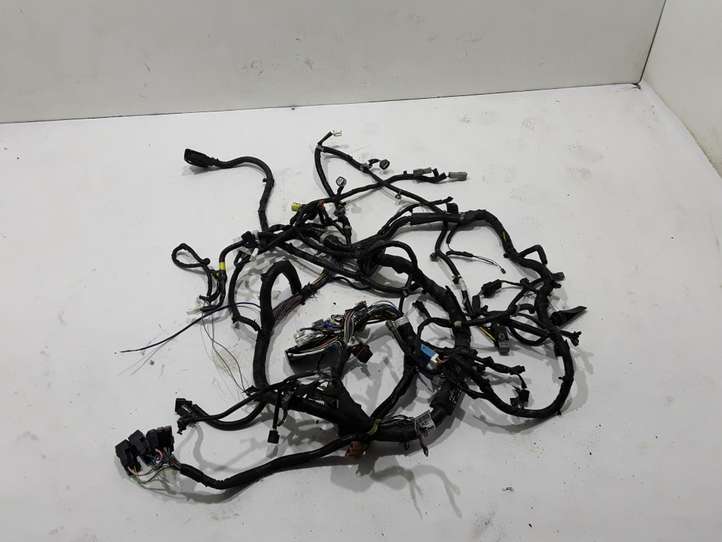 Nissan Qashqai (2013 - 2017)  240124EG4E Другой проводник