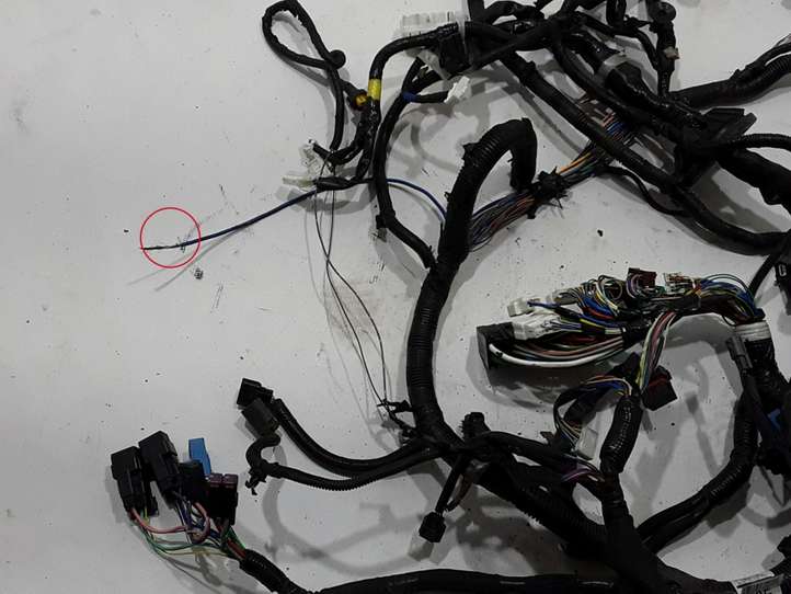 Nissan Qashqai (2013 - 2017)  240124EG4E Другой проводник