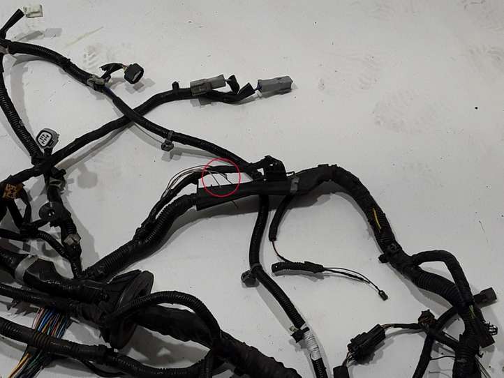 Nissan Qashqai (2013 - 2017)  240124EG4E Другой проводник