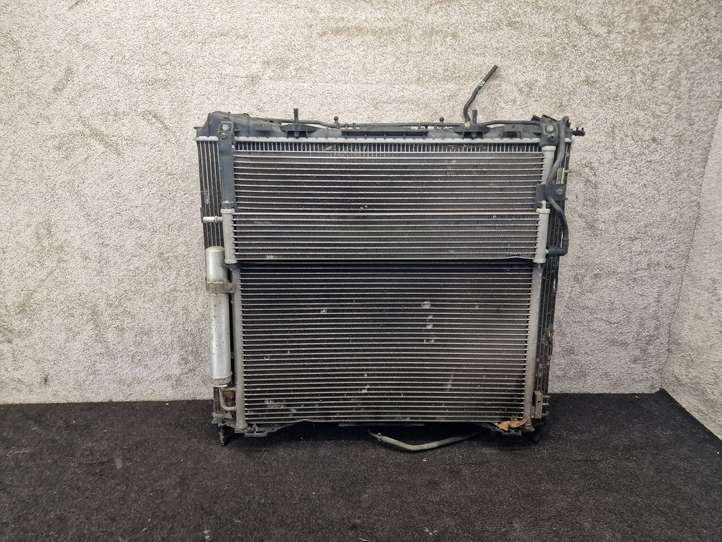 Land Rover Range Rover (2012 - 2017)  CPLA8D010AA Комплект радиаторов