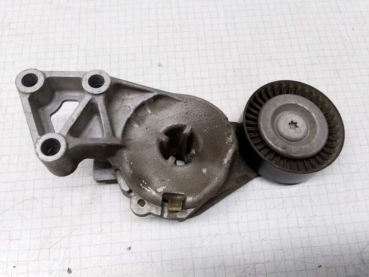 Skoda Octavia Mk2 (1Z) (2004 - 2013)  04873010001 Устройство натяжки ремня