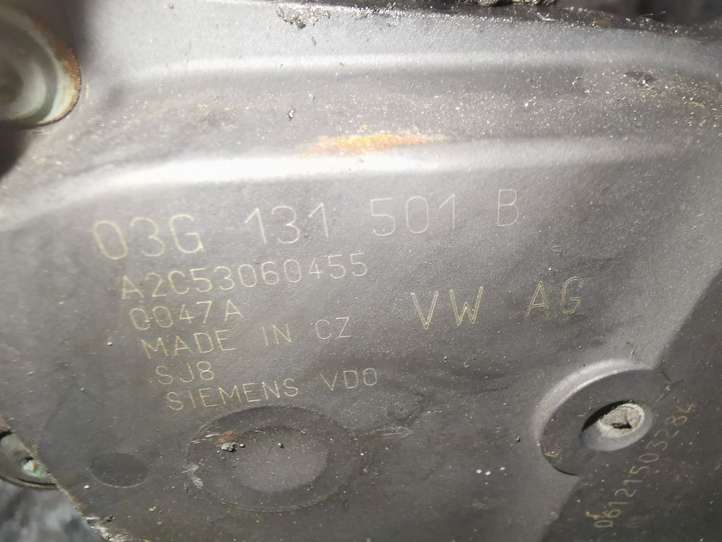 Audi A4 (2004 - 2009)  03G131501B Клапан EGR