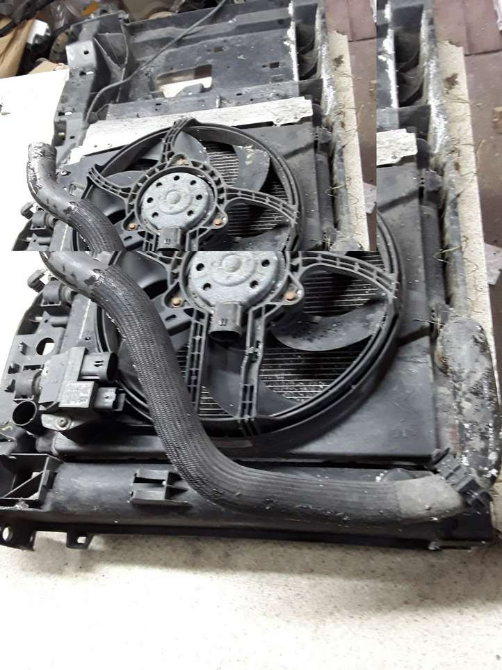 Citroen C3 (2002 - 2009)  9653804080 Комплект радиаторов