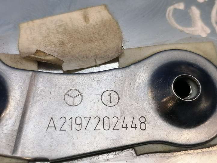 Mercedes-Benz CLS C219 (2003 - 2011)  A2197202448 Другая деталь отделки пере́дней дверей