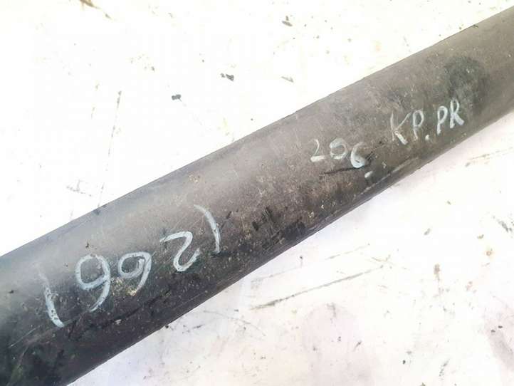 Peugeot 206 (1998 - 2012)  9625100577av Отделка (молдинг) передней двери