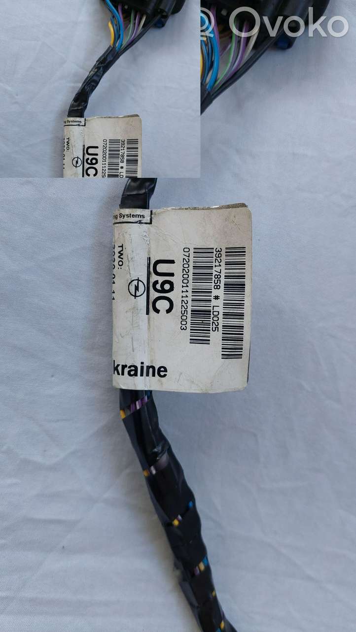 Opel Astra (2015 - 2020)  39217858 Проводка датчиков парковки