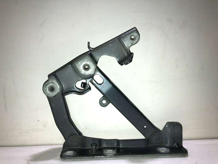 Mercedes-Benz E W211 (2002 - 2009)  2118800428 Петля (петли) капота