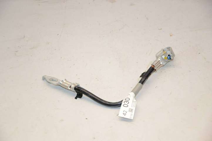 Toyota RAV 4 (XA40) (2012 - 2018)  8228442030 Минусовый провод (аккумулятора)