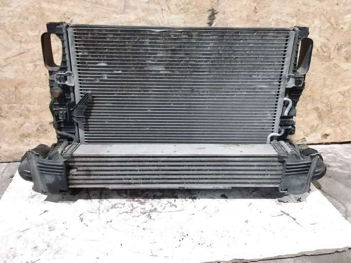 Mercedes-Benz E W211 (2002 - 2009)  A2115001102 Комплект радиаторов