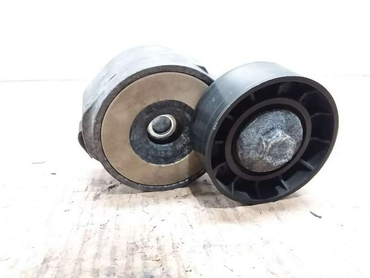 Opel Vectra (2005 - 2009)  55190813 Натяжитель ремня генератора