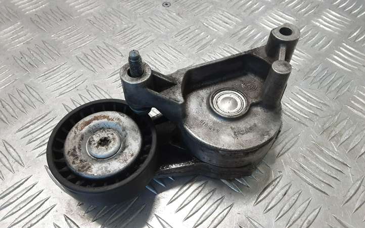 Seat Leon (1P) (2005 - 2012)  03G903315A Устройство натяжки ремня
