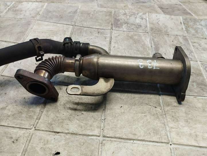 Ford S-Max (2006 - 2010)  51081207 Охладитель EGR