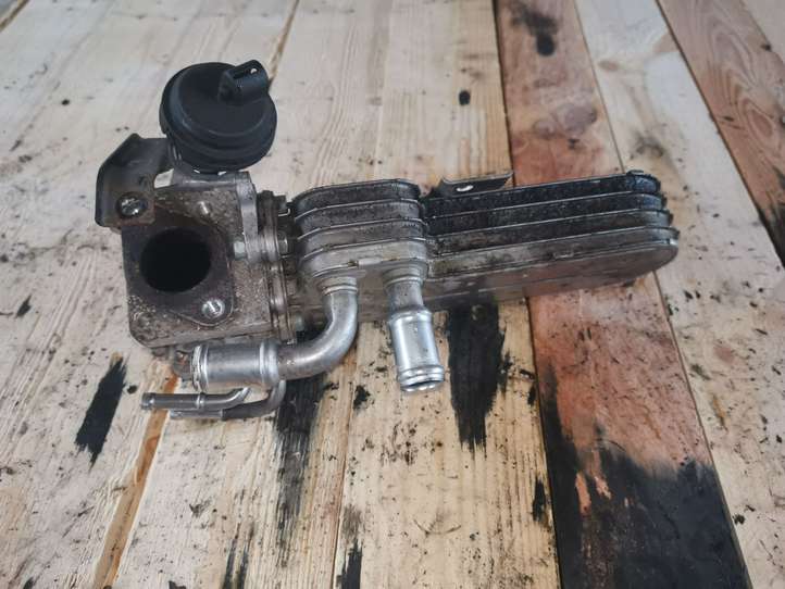 Volkswagen Touran I (2003 - 2010)  038131513D Охладитель EGR