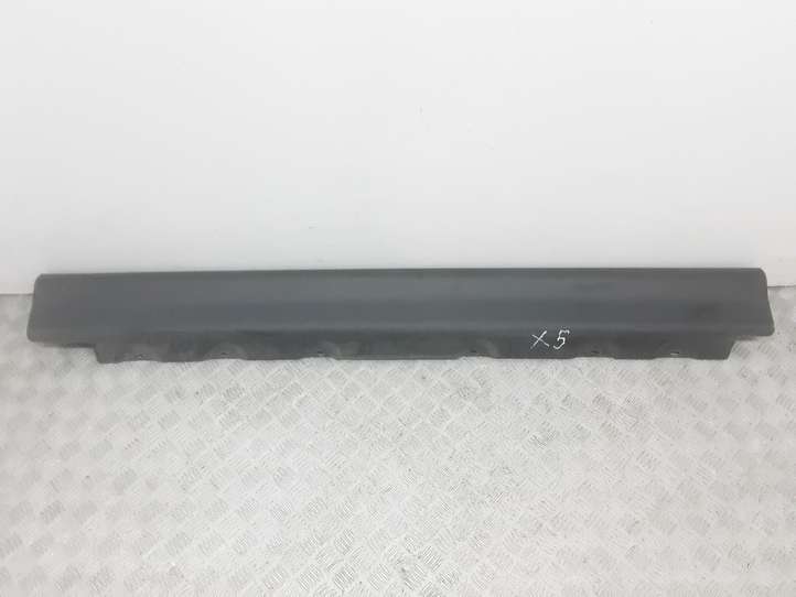 BMW X5 E53 (1999 - 2006)  8408705 Порог
