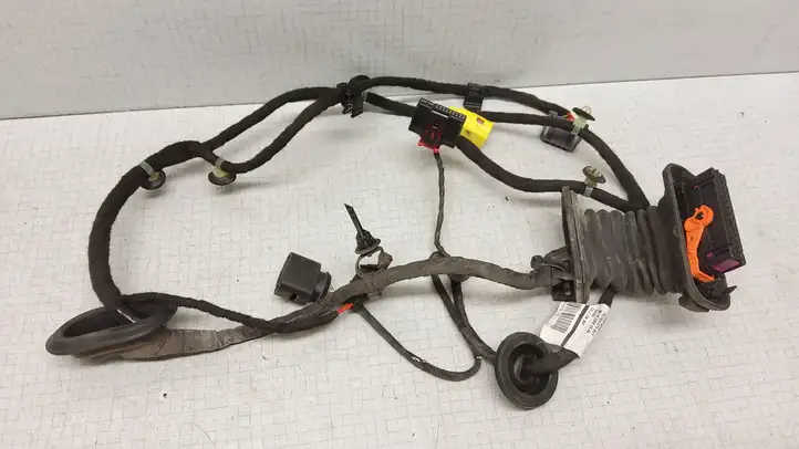 Volkswagen PASSAT B6 (2005 - 2010)  987639106 Проводка передних дверей