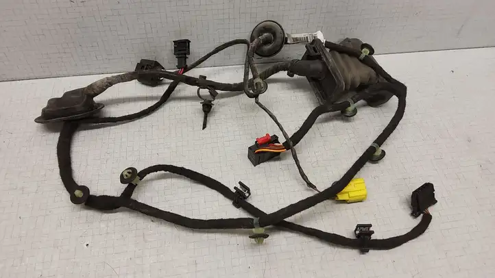 Volkswagen PASSAT B6 (2005 - 2010)  987639106 Проводка передних дверей