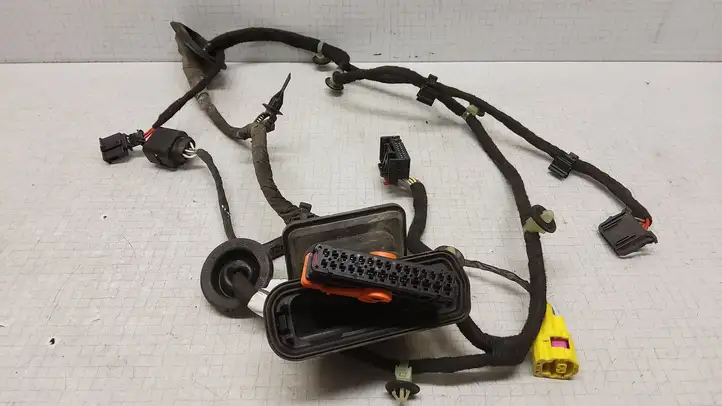 Volkswagen PASSAT B6 (2005 - 2010)  987639106 Проводка передних дверей
