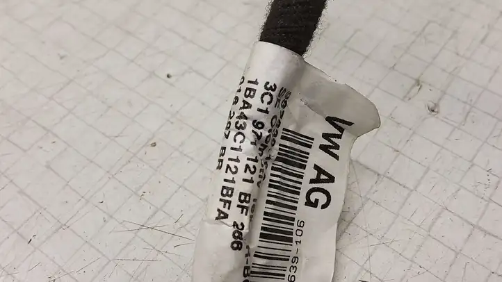 Volkswagen PASSAT B6 (2005 - 2010)  987639106 Проводка передних дверей