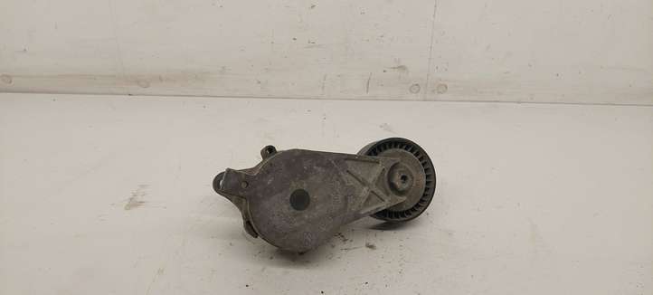 Audi A3/S3 8P (2003 - 2005)  03G903315 Натяжитель ремня генератора