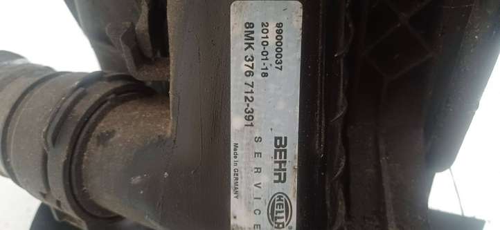 BMW 5 E39 (1996 - 2003)  171122473489 Комплект радиаторов
