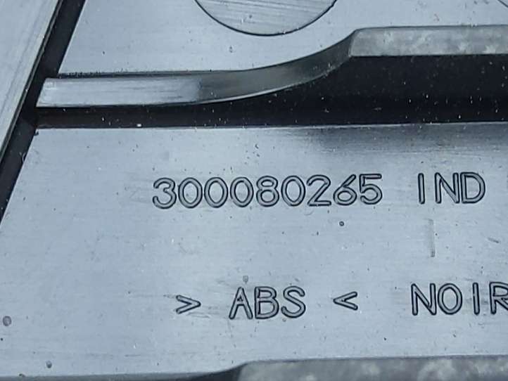 Citroen C4 Picasso (2006 - 2013)  300080265 Другая деталь салона