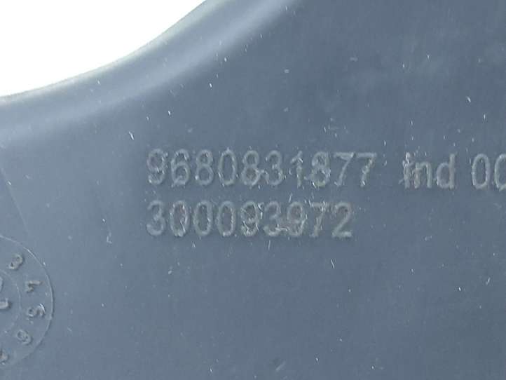 Citroen C4 Picasso (2006 - 2013)  9680831877 Другая деталь салона