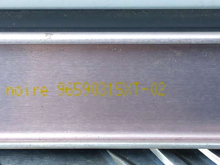 Citroen C4 Picasso (2006 - 2013)  96590314XT Звукоизоляция крыши