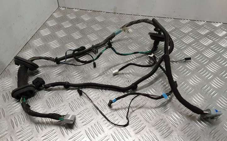 Tesla Model S (2016 - 2021)  100442600P Проводка задних дверей