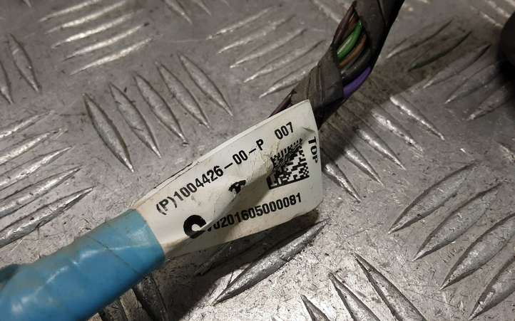 Tesla Model S (2016 - 2021)  100442600P Проводка задних дверей
