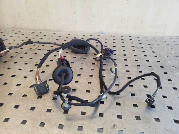 Volkswagen PASSAT B7 (2011 - 2014)  3AA971694CB Проводка задних дверей