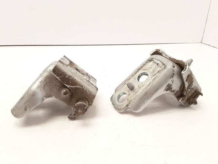 Citroen C3 (2009 - 2013)  EZR  Комплект петель задней двери