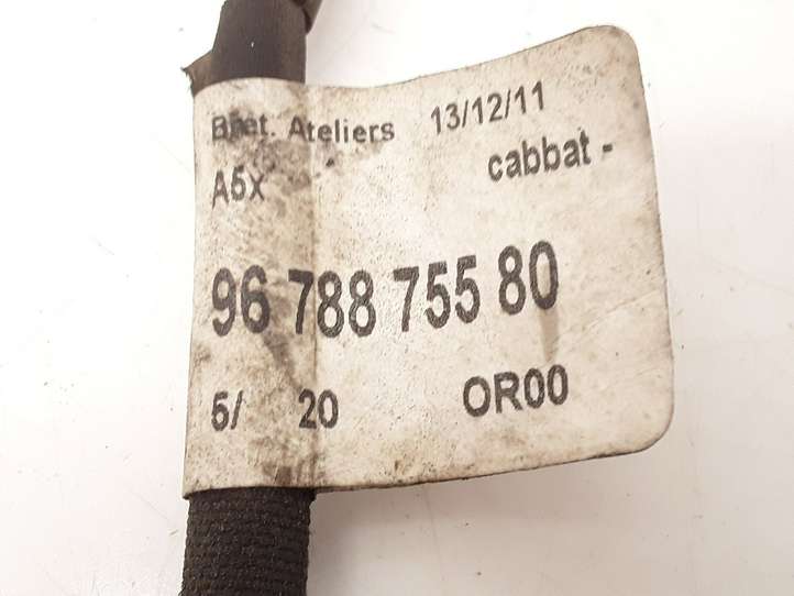 Citroen C3 (2009 - 2013)  9678875580 Минусовый провод (аккумулятора)