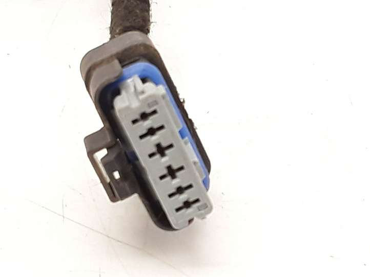 Citroen C3 (2009 - 2013)  9689005080 Проводка задних дверей