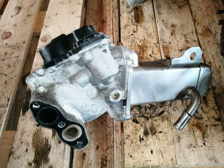 Ford Kuga II (2013 - 2019)  30725855 Клапан EGR