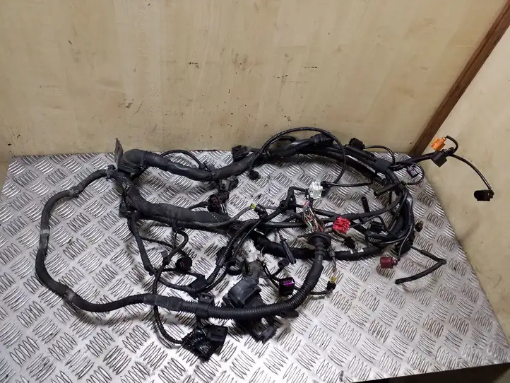 Audi Q7 (2009 - 2015)   Проводка двигателя