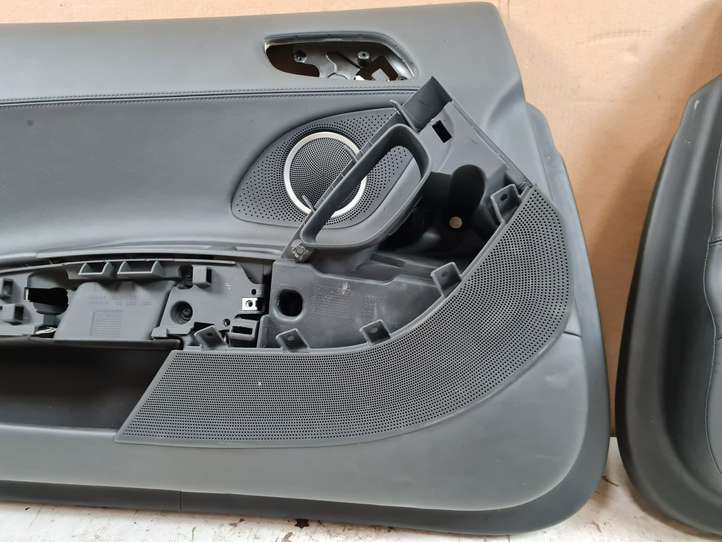 Audi R8 42 (2006 - 2015)  420867899 Комплект отделки дверей