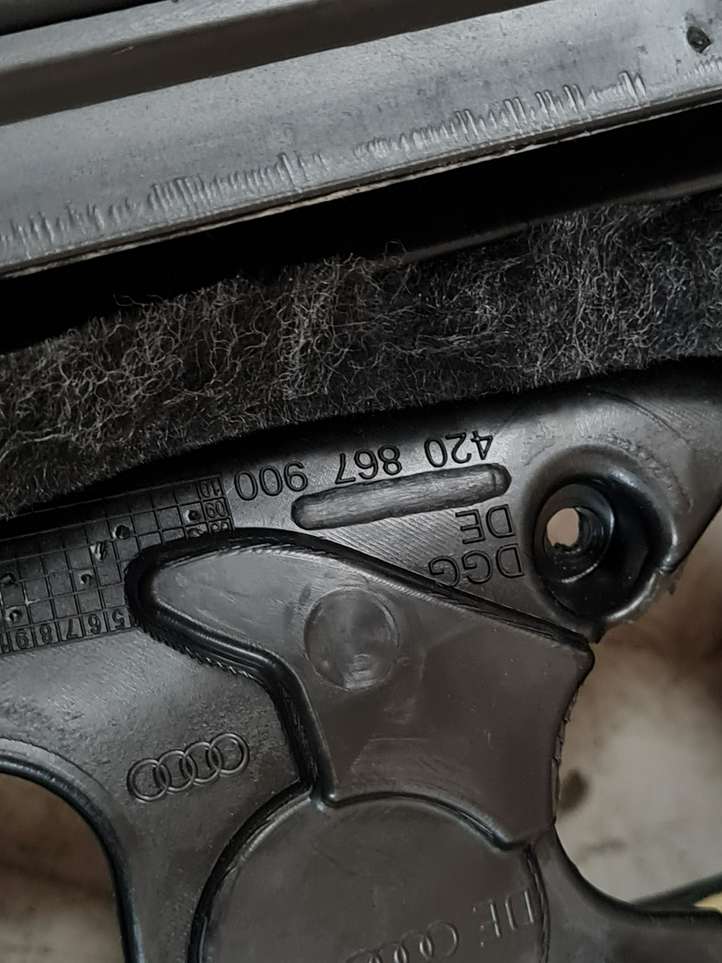 Audi R8 42 (2006 - 2015)  420867899 Комплект отделки дверей