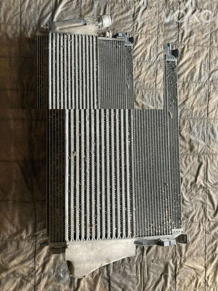 Renault Scenic II -  Grand scenic II (2003 - 2006)  820011543 Комплект радиаторов