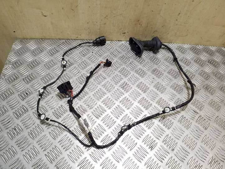 Seat Exeo (3R) (2008 - 2013)  3R0971687 Проводка задних дверей