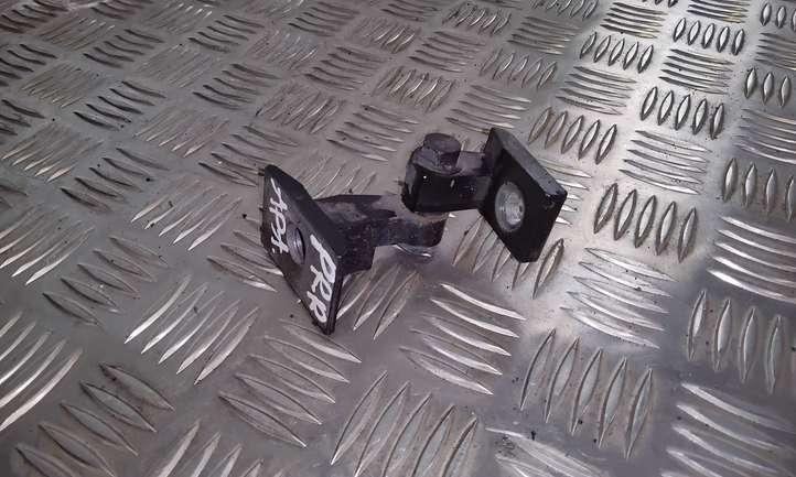 BMW 3 F30 F35 F31 (2012 - 2018)  7246068 Нижняя петля передней двери