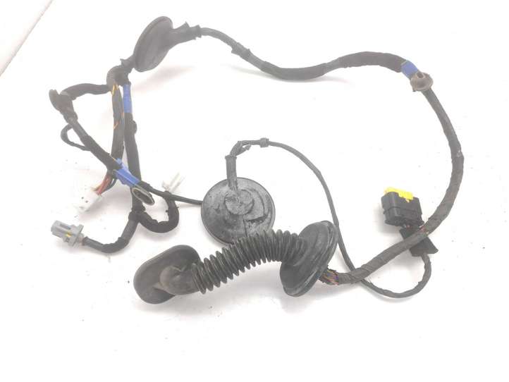 Hyundai Grandeur (2005 - 2009)  919803K040 Проводка задних дверей