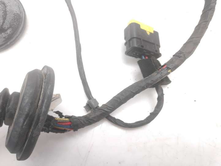 Hyundai Grandeur (2005 - 2009)  919803K040 Проводка задних дверей