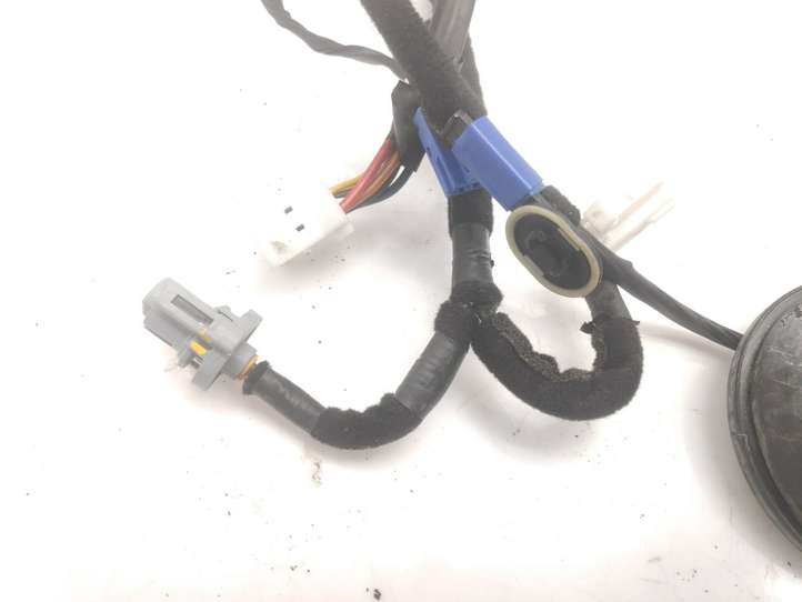 Hyundai Grandeur (2005 - 2009)  919803K040 Проводка задних дверей