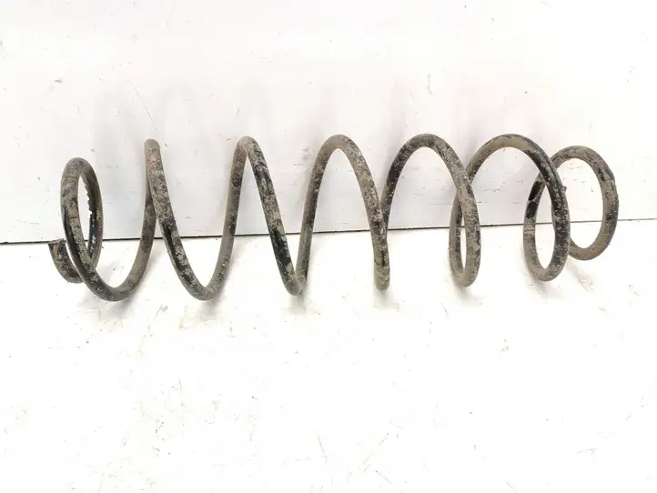 Chevrolet Tacuma (2000 - 2008) Пружина задней подвески — фото 1