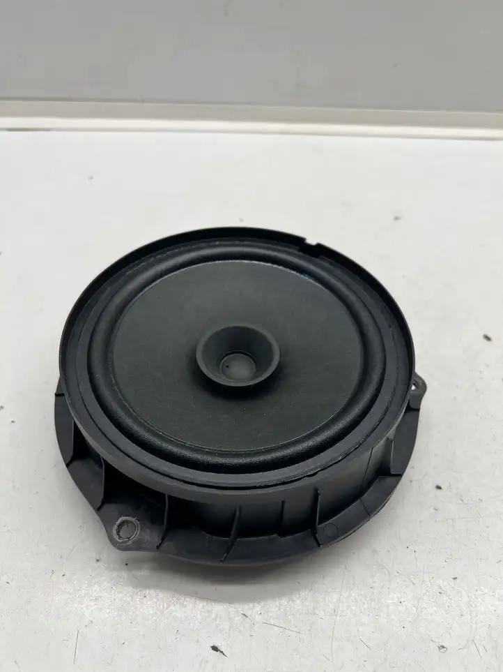 Renault Megane E-Tech 281443585R Динамики задних дверей — фото 1