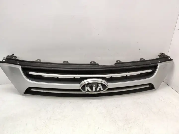 Kia Carnival (2006 - 2014) 863504D000 Верхняя решетка радиатора — фото 1