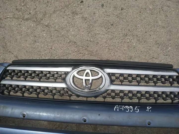 Toyota RAV 4 (XA30) (2006 - 2016) Передняя решетка — фото 1